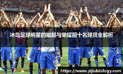 冰岛足球明星的崛起与荣耀前十名球员全解析
